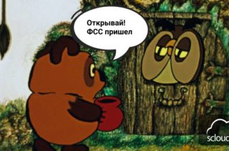Проверка ФСС правильности выплат пособий в учреждении