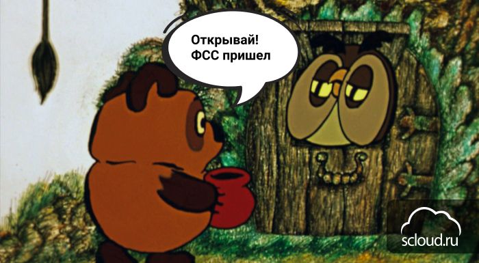 Проверка ФСС правильности выплат пособий в учреждении