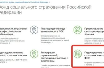 Подача заявления в фсс - набор услуг на госуслугах для граждан и юрлиц - ГБУ СО «Тракторозаводский центр социального обслуживания населения»