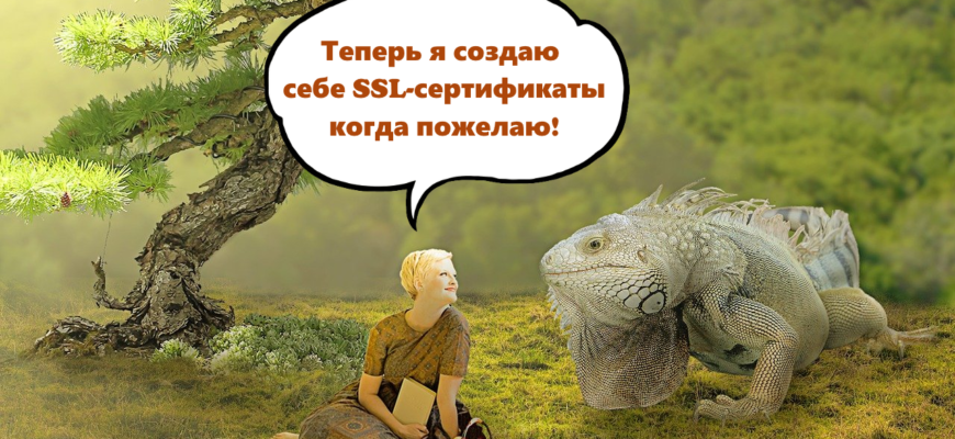 SSL – сертификаты в формате PDF