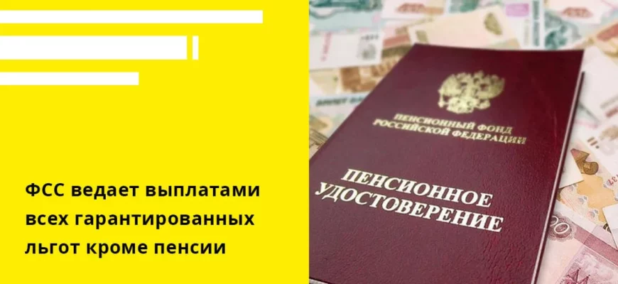Направление ФСС и что меняется для бизнеса
